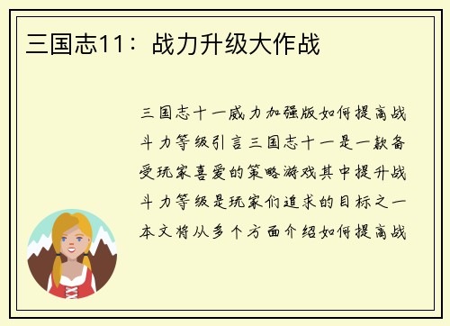 三国志11：战力升级大作战